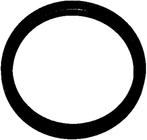 Прокладка, корпус термостата ELRING купить