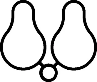 Прокладка, впускной коллектор ELRING купить