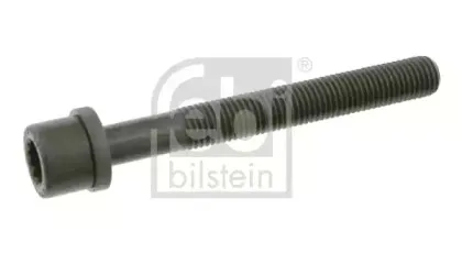 06666  FEBI - Болт ГБЦ FEBI BILSTEIN купить