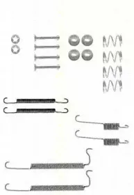 Комплектующие, тормозная колодка TRISCAN купить
