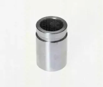 Поршень, корпус скобы тормоза TRISCAN купить