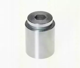 Поршень, корпус скобы тормоза TRISCAN купить