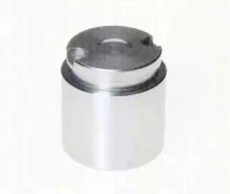 Поршень, корпус скобы тормоза TRISCAN купить