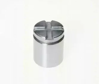 Поршень, корпус скобы тормоза TRISCAN купить