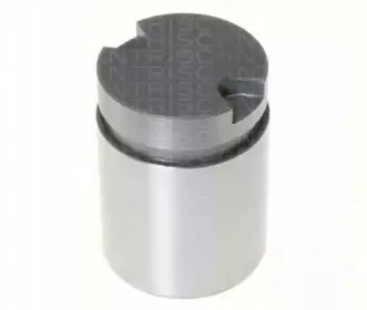 Поршень, корпус скобы тормоза TRISCAN купить