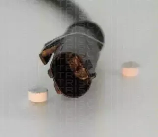 Датчик, частота вращения колеса TRISCAN купить