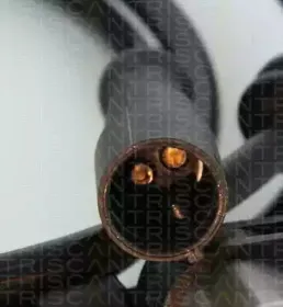 Датчик, частота вращения колеса TRISCAN купить