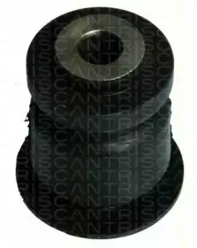 Подвеска, рычаг независимой подвески колеса TRISCAN купить