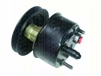 Гидравлический насос, рулевое управление TRISCAN купить