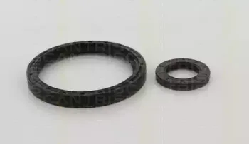 Комплект прокладок вала, сцепление TRISCAN купить