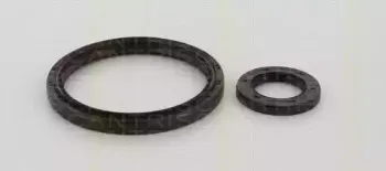 Комплект прокладок вала, сцепление TRISCAN купить