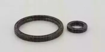 Комплект прокладок вала, сцепление TRISCAN купить