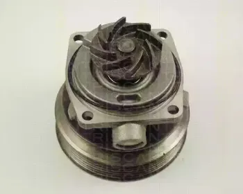 Водяной насос TRISCAN купить