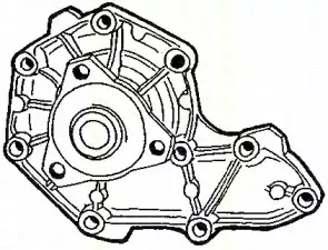 Водяной насос TRISCAN купить