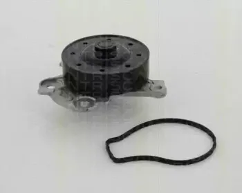 Водяной насос TRISCAN купить