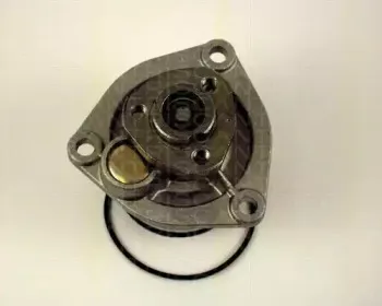 Водяной насос TRISCAN купить