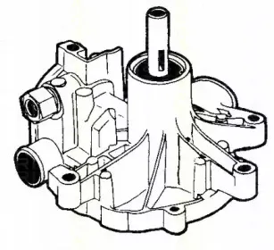 Водяной насос TRISCAN купить