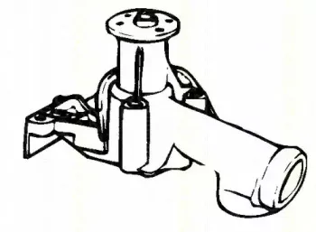 Водяной насос TRISCAN купить