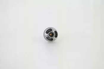 Термостат, охлаждающая жидкость TRISCAN купить