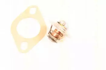 Термостат, охлаждающая жидкость TRISCAN купить