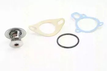 Термостат, охлаждающая жидкость TRISCAN купить