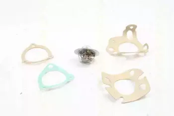 Термостат, охлаждающая жидкость TRISCAN купить