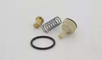 Термостат, охлаждающая жидкость TRISCAN купить