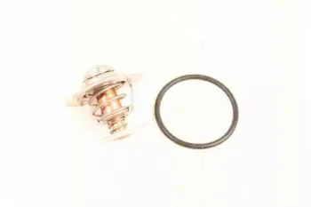 Термостат, охлаждающая жидкость TRISCAN купить