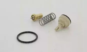 Термостат, охлаждающая жидкость TRISCAN купить