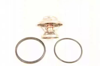 Термостат, охлаждающая жидкость TRISCAN купить