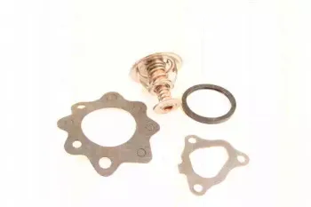 Термостат, охлаждающая жидкость TRISCAN купить