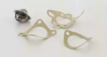 Термостат, охлаждающая жидкость TRISCAN купить