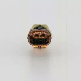 Датчик, температура охлаждающей жидкости TRISCAN купить