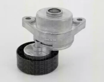 Натяжная планка, поликлиновой ремень TRISCAN купить