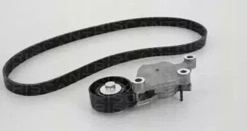 Поликлиновой ременный комплект TRISCAN купить