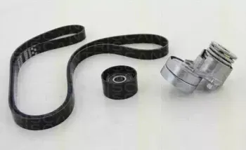 Поликлиновой ременный комплект TRISCAN купить