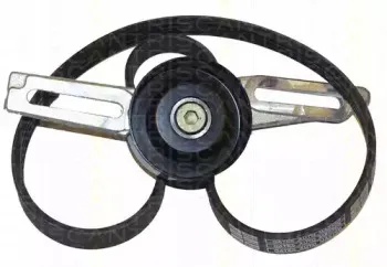 Поликлиновой ременный комплект TRISCAN купить