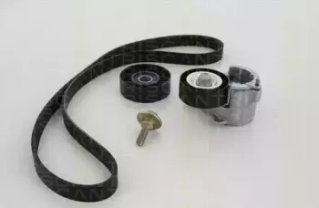 Поликлиновой ременный комплект TRISCAN купить