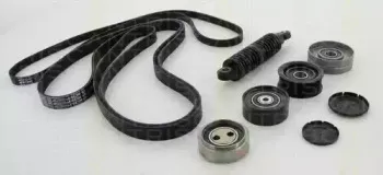 Поликлиновой ременный комплект TRISCAN купить