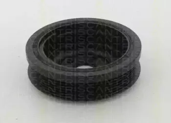 Ременный шкив, коленчатый вал TRISCAN купить