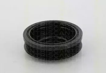 Ременный шкив, коленчатый вал TRISCAN купить