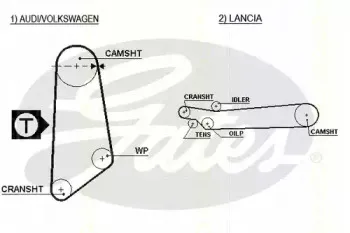 Ремень ГРМ TRISCAN купить