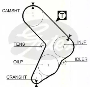 Ремень ГРМ TRISCAN купить
