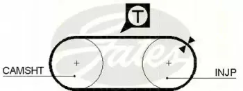 Ремень ГРМ TRISCAN купить