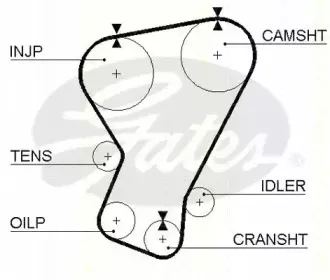 Ремень ГРМ TRISCAN купить