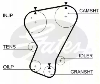 Ремень ГРМ TRISCAN купить