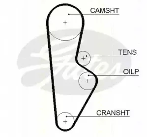 Ремень ГРМ TRISCAN купить
