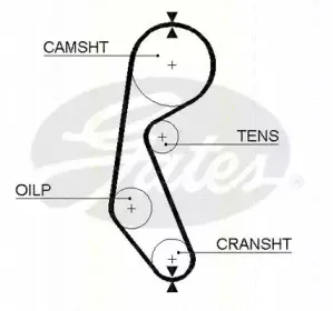 Ремень ГРМ TRISCAN купить