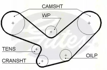 Ремень ГРМ TRISCAN купить