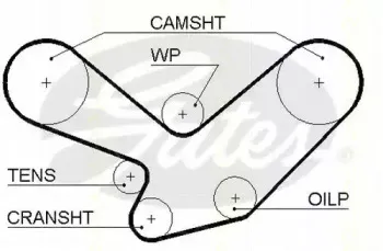 Ремень ГРМ TRISCAN купить